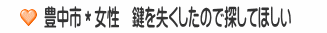 豊中市＊女性　鍵を失くしたので探してほしい