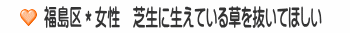 福島区＊女性　芝生に生えている草を抜いてほしい