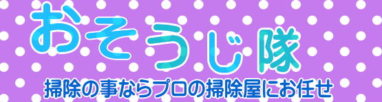 �֗���mission��エ�|��