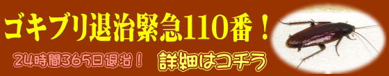 ゴキブリ退治緊急110番！24時間365日退治！詳細はコチラ