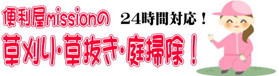 草抜き 草刈 枝折り 庭掃除