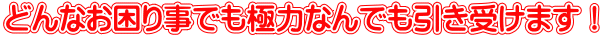 どんなお困り事でも極力なんでも引き受けます！