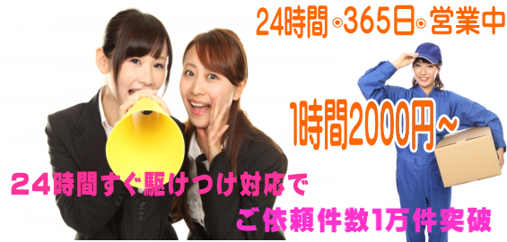 ���s�֗̕���mission