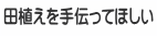 田植えを手伝ってほしい