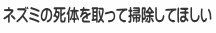 ネズミの死体を取って掃除してほしい