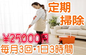 定期掃除　25000円